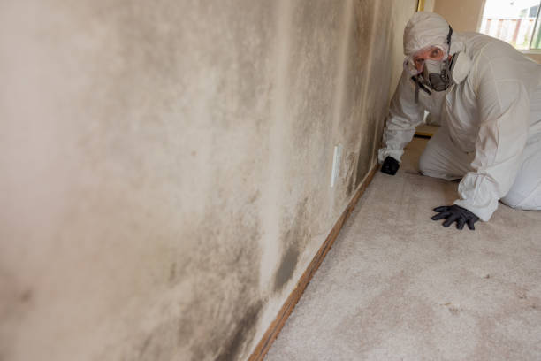 Best Industrial Mold Remediation  in North Crossett, AR